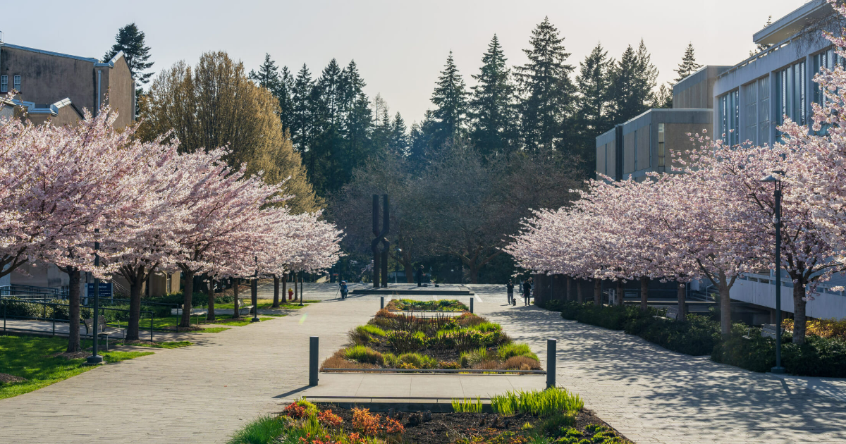UBC Homes for Sale: A Comprehensive Guide